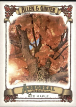 2021 Topps Allen & Ginter Arboreal Appreciation #AA-5 Red Maple