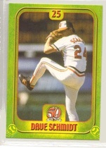 2004 Team Issue Maryland Lottery #25 Dave Schmidt