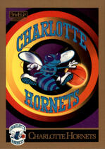 1990 SkyBox Base Set #330 Charlotte Hornets