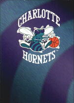 1994 NBA Hoops Hoops #393 Charlotte Hornets