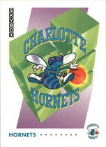 1991 SkyBox Base Set #353 Charlotte Hornets