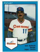1989 ProCards Calgary Cannons #538 Rich Morales