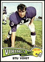 1975 Topps Base Set #113 Stu Voigt