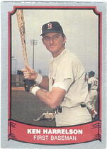 1988 Pacific Legends I/II #14 Ken Harrelson