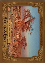 2016 Topps Allen & Ginter Natural Wonders #NW-11 Baobab Forest