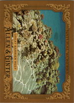 2016 Topps Allen & Ginter Natural Wonders #NW-2 Great Barrier Reef