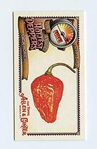 2018 Topps Allen & Ginter Mini Worlds Hottest Peppers #WHP-14 Naga Morich