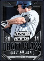 2014 Panini Prizm Perennial Draft Picks Draft Class #18 Casey Gillaspie