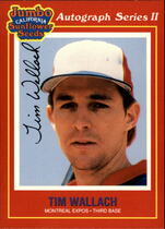 1991 Sunflower Seeds #23 Tim Wallach