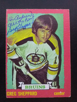 1973 O-Pee-Chee OPC Base Set (Dark Backs) #8 Gregg Sheppard