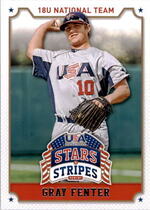 2015 Panini USA Stars and Stripes #40 Gray Fenter