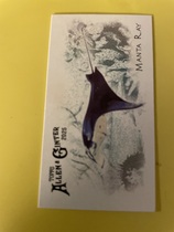 2025 Topps Allen & Ginter Mini 50 Fish from Global Waters #FGW-18 Manta Ray