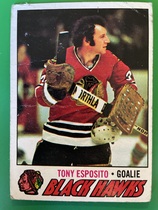 1977 Topps Base Set #170 Tony Esposito