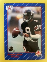 1991 All World CFL #60 Damon Allen