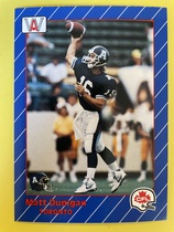 1991 All World CFL #87 Matt Dunigan