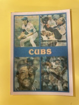1987 Sportflics Team Preview #22 Chicago