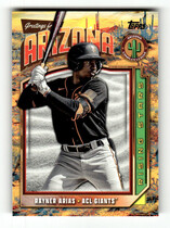 2024 Topps Pro Debut Complex League Rising Stars #CLRS-15 Rayner Arias