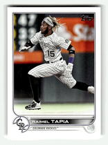 2022 Topps Base Set #46 Raimel Tapia