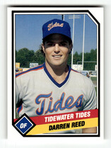 1989 CMC Tidewater Tides #17 Darren Reed