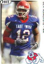 2010 SAGE HIT Low Series #29 Seyi Ajirotutu