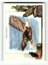 2023 Topps Allen & Ginter TALON-ted #TT-5 Bald Eagle