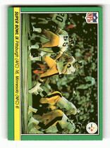1984 Fleer Team Action #65 Super Bowl IX