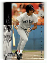 1994 Upper Deck Minor League #204 Jose Malave
