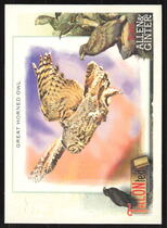2023 Topps Allen & Ginter TALON-ted #TT-7 Great Horned Owl