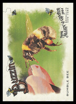 2024 Topps Allen & Ginter Buzzin #BUZ-3 Bumble Bee