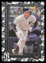 2025 Topps Spring Training #115 Carlos Narvaez