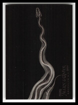 2024 Topps Allen & Ginter X-rayd #XR-5 Ball Python