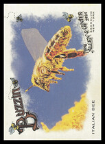 2024 Topps Allen & Ginter Buzzin #BUZ-5 Italian Bee