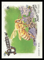 2024 Topps Allen & Ginter Buzzin #BUZ-2 Honey Bee