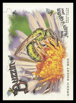 2024 Topps Allen & Ginter Buzzin #BUZ-8 Green Sweat Bee
