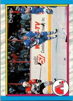 1989 O-Pee-Chee OPC Base Set #313 Nordiques Team