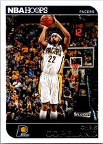 2014 Panini NBA Hoops #185 Chris Copeland