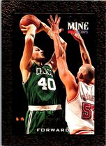 1994 NBA Hoops Hoops #432 Dino Radja