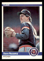 1984 Fleer Base Set #90 Dan Rozema