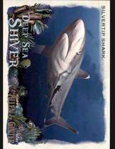 2021 Topps Allen & Ginter Deep Sea Shiver #DSS-15 Silvertip Shark