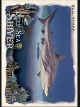 2021 Topps Allen & Ginter Deep Sea Shiver #DSS-2 Bull Shark