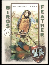 2021 Topps Allen & Ginter Birds of a Feather #BOF-4 Blue-And-Gold Macaw