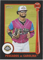 2022 Topps Heritage Minor League 1973 Topps Tarjetas #73TJ-1 Hedbert Perez