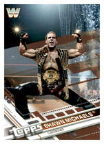2017 Topps WWE Then Now Forever Bronze #195 Shawn Michaels