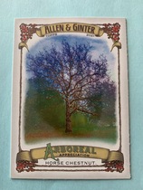 2021 Topps Allen & Ginter Arboreal Appreciation #AA-6 Horse Chestnut