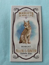 2021 Topps Allen & Ginter Mini Mascots IRL #MMI-13 Bobcat