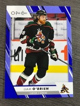 2023 Upper Deck O-Pee-Chee OPC Blue Border #322 Liam Obrien