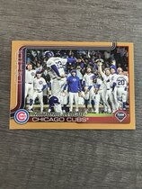 2025 Topps Gold #60 Chicago Cubs Team Card