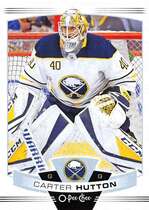 2019 Upper Deck O-Pee-Chee OPC #221 Carter Hutton