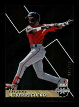 2019 Panini Elite Extra Edition #156 Liover Peguero