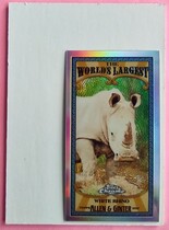 2021 Topps Chrome Allen & Ginter Mini Worlds Largest #MWL-9 White Rhino